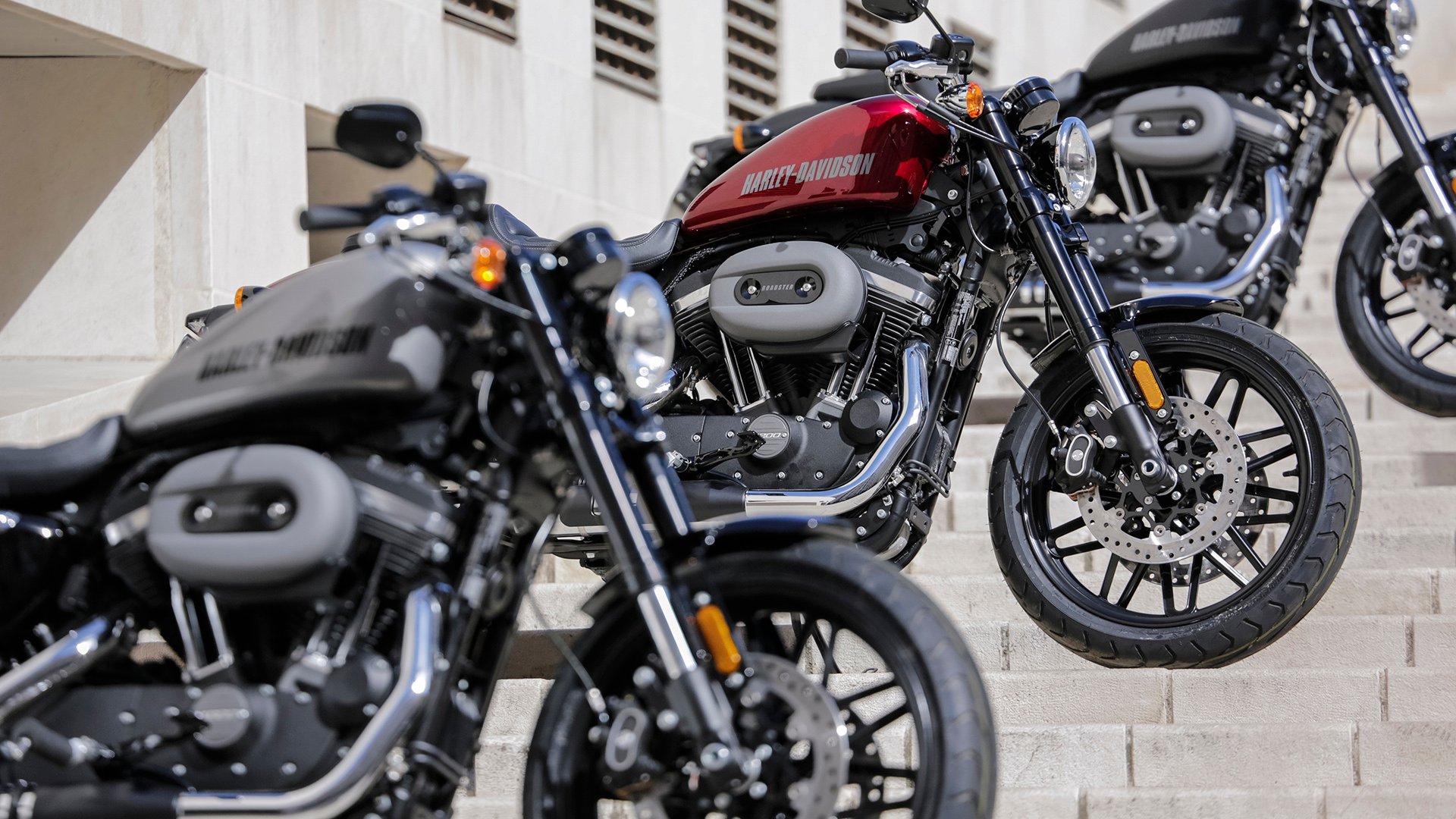 Harley davidson cheap roadster 2019